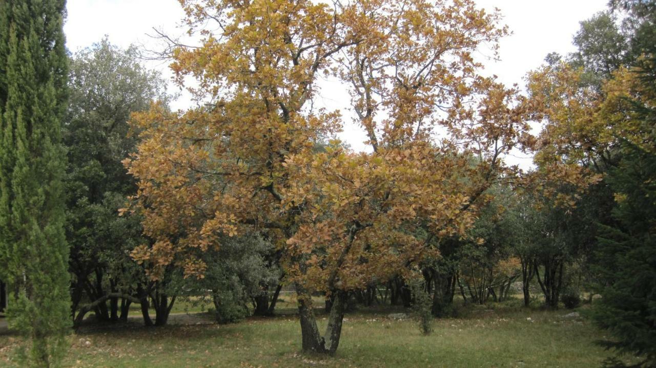 הוילה Lussan  Sous Les Chenes מראה חיצוני תמונה